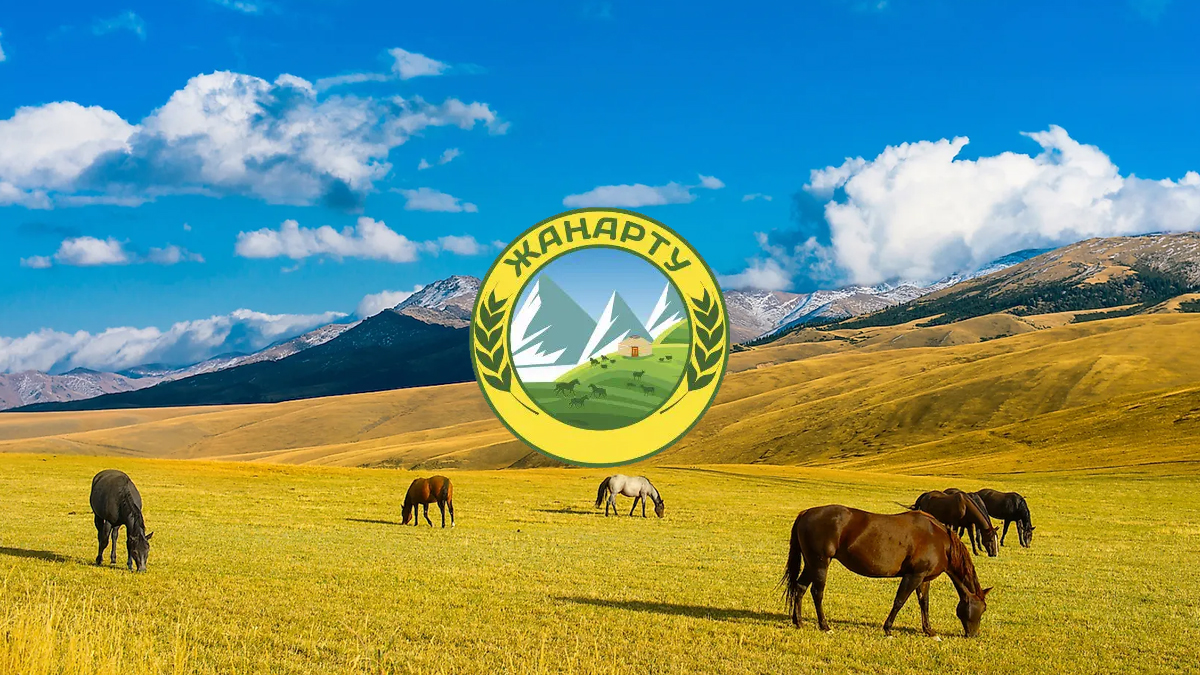 Проект жанарту