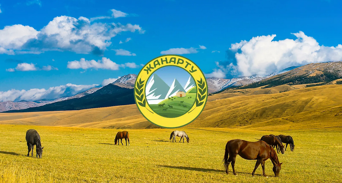 Проект Жанарту